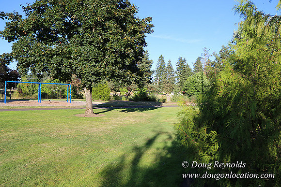 Lincoln Park-0664