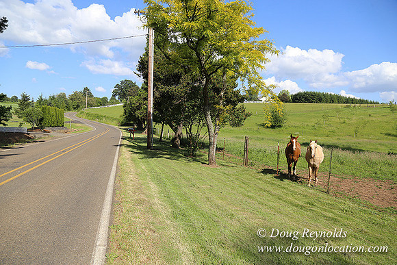 Helvetia rd at Mikes-5938