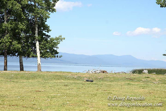 2500 Acres of green fields Creeks water crossing Bridges on a Large Lake and miles of Dirt roads Oak trees Forest land ATV Trails cows