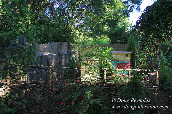 Home" Bungalow, Bee's Back yard Chickens, Small,