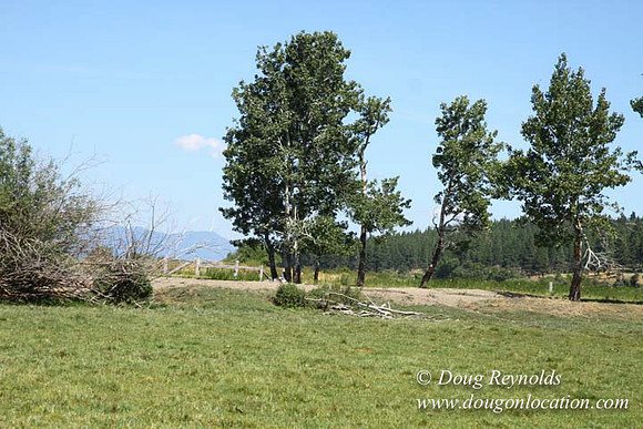 2500 Acres of green fields Creeks water crossing Bridges on a Large Lake and miles of Dirt roads Oak trees Forest land ATV Trails cows
