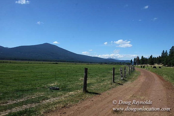 2500 Acres of green fields Creeks water crossing Bridges on a Large Lake and miles of Dirt roads Oak trees Forest land ATV Trails cows