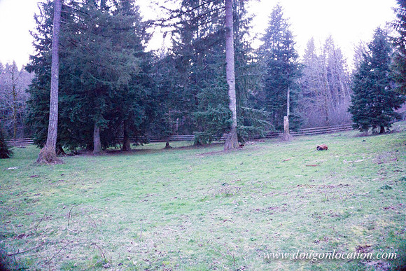 Adams Farm-3104
