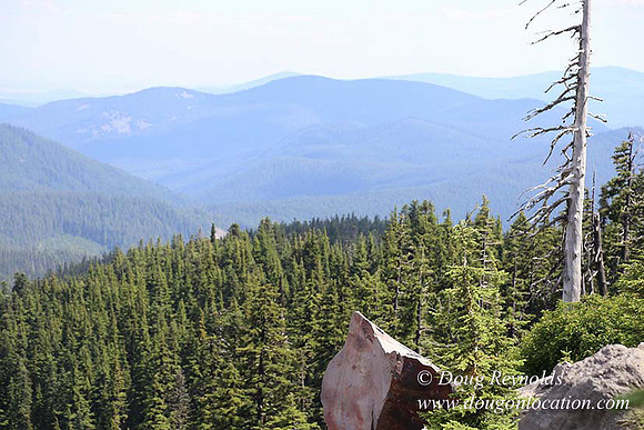 Timberline East rock-6815