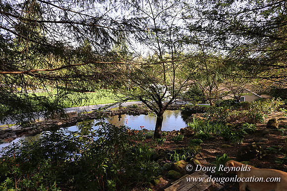 Brians Pond & Drive-9925