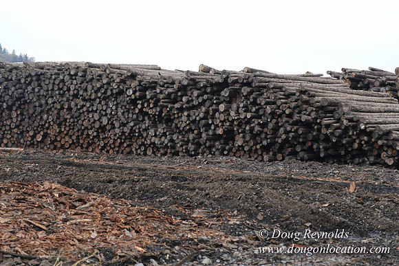 SDS Lumber-1421