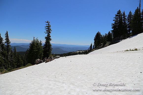 Medow's Snow-5726