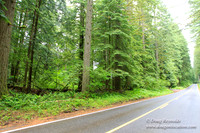 Larch Mt Rd