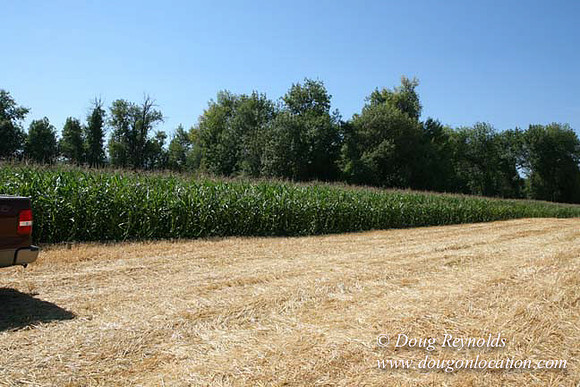 Farm 4 has Barns Shops they grow Wheat and Corn.  in the Portland Zone