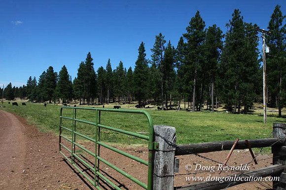 2500 Acres of green fields Creeks water crossing Bridges on a Large Lake and miles of Dirt roads Oak trees Forest land ATV Trails cows