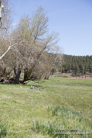 Ranch 18