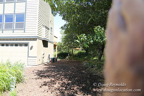 Silkirk Town Homes-8161