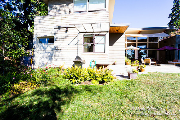 Jenx Back Yard