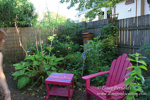 Home" Bungalow, Bee's Back yard Chickens, Small,