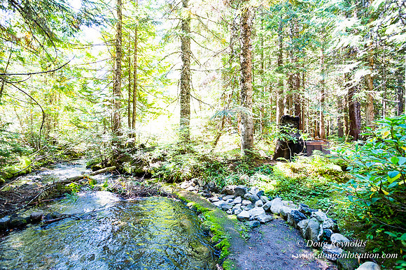 Karri's Cabin