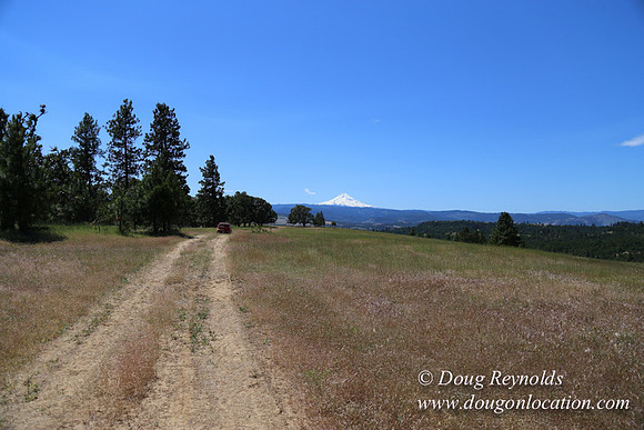 Brothers Ranch-8468