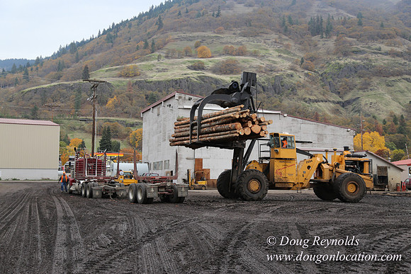 SDS Lumber-1479