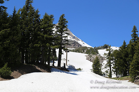 Medow's Snow-5671
