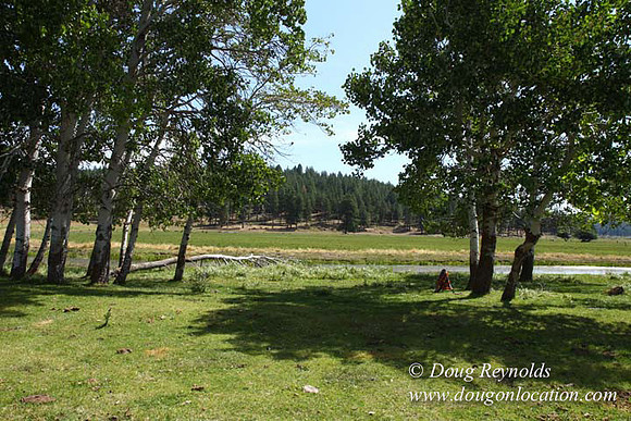2500 Acres of green fields Creeks water crossing Bridges on a Large Lake and miles of Dirt roads Oak trees Forest land ATV Trails cows