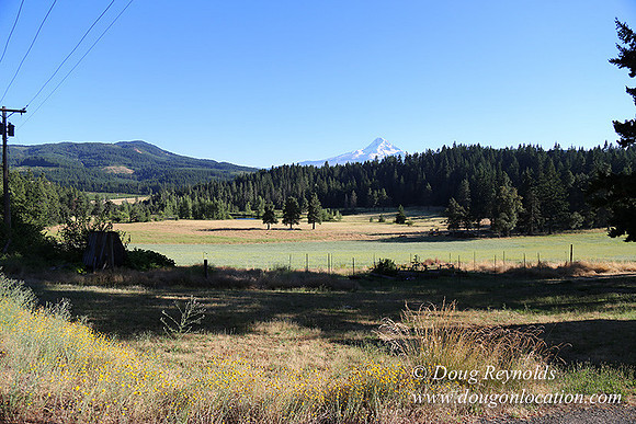 Elk Haven Ranch-8573