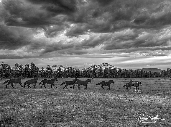 Sisters Horses