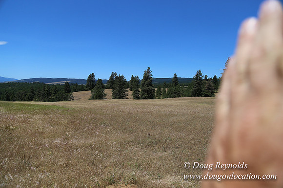 Brothers Ranch-8476