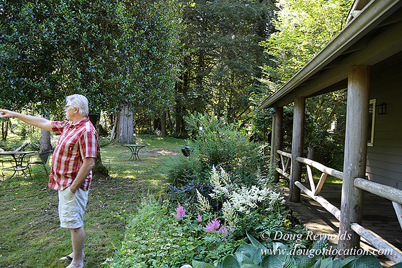 Cabin ,Home, House, River, Yard, Shop, Barn, Garden, Stream,