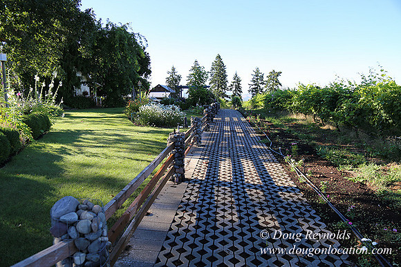 Patricks Farm Well maintained property, Lots of flowers Old Barn Farm House fruit trees Berries, Goats, Chicken’s, Turkey,