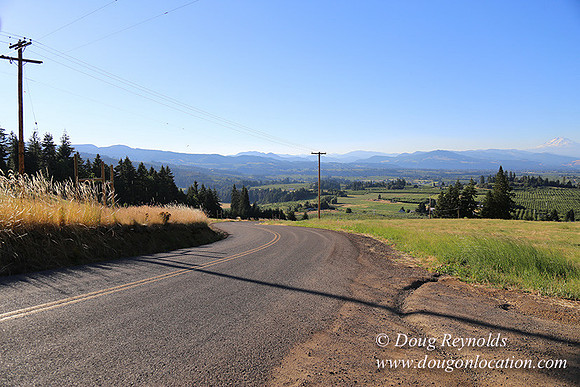 Both Hill Rd-8604