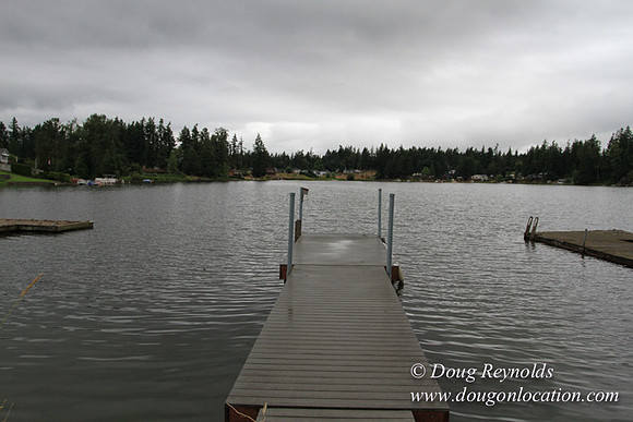 Cabin, Curtis, Dock, Green, Home, Lake, Small, WA, Washington, Yard, Yard, deck