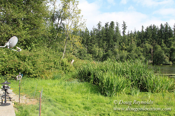 Roberts Lake House-4827