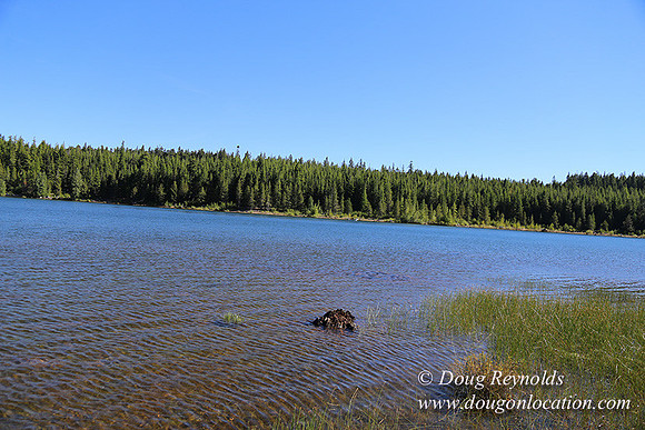 Clear Lake-3515