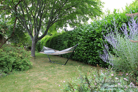 Laura’s Home This is a Portland Bungalow Style small home with a average sized and interesting back yard, nice garden with bee hive’s