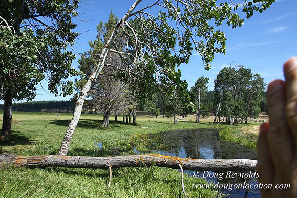 2500 Acres of green fields Creeks water crossing Bridges on a Large Lake and miles of Dirt roads Oak trees Forest land ATV Trails cows