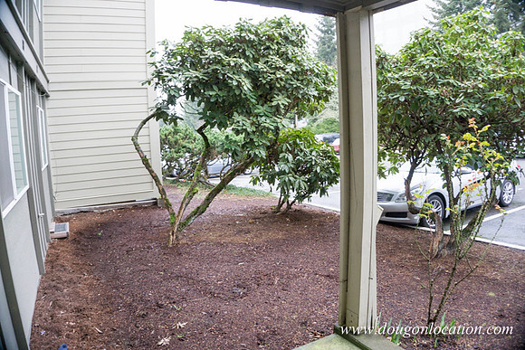 Georgetown Manor- 2471