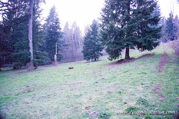 Adams Farm-3105
