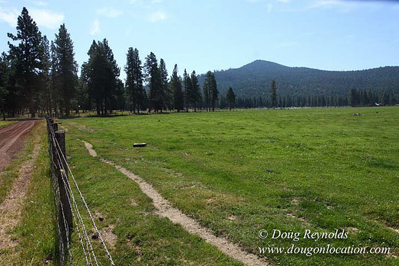 2500 Acres of green fields Creeks water crossing Bridges on a Large Lake and miles of Dirt roads Oak trees Forest land ATV Trails cows