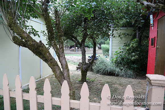 Jeramiah's Backyard-1665