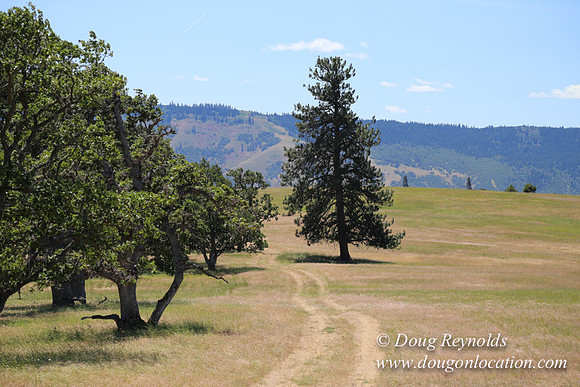 Brothers Ranch-8500