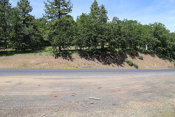 Canyon Rd 2-7991
