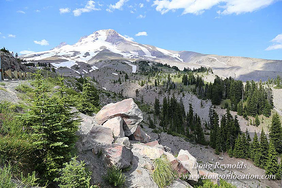 Timberline East rock-6769