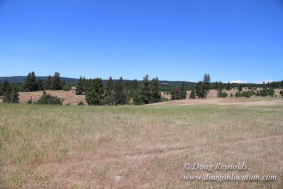 Brothers Ranch-8483