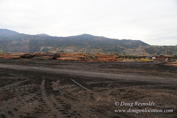 SDS Lumber-1409