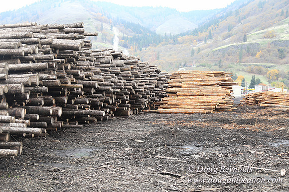 SDS Lumber-1424
