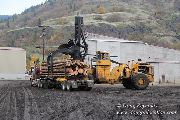 SDS Lumber-1467