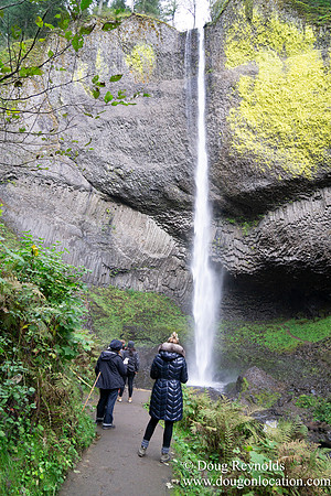 SNog Productions Sony 2016 Oregon