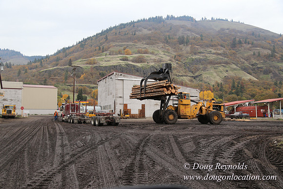 SDS Lumber-1481