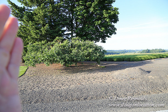 Toms Rd Side-6342