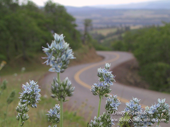 WA Canyon Rd- 7410