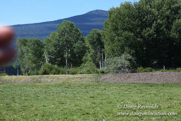 2500 Acres of green fields Creeks water crossing Bridges on a Large Lake and miles of Dirt roads Oak trees Forest land ATV Trails cows
